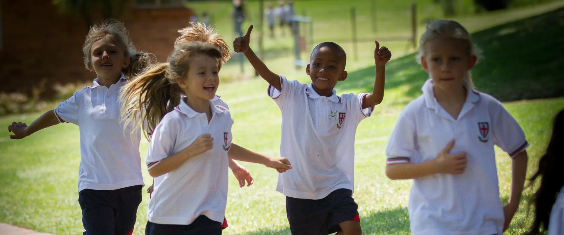 094 2015 web ideas crop