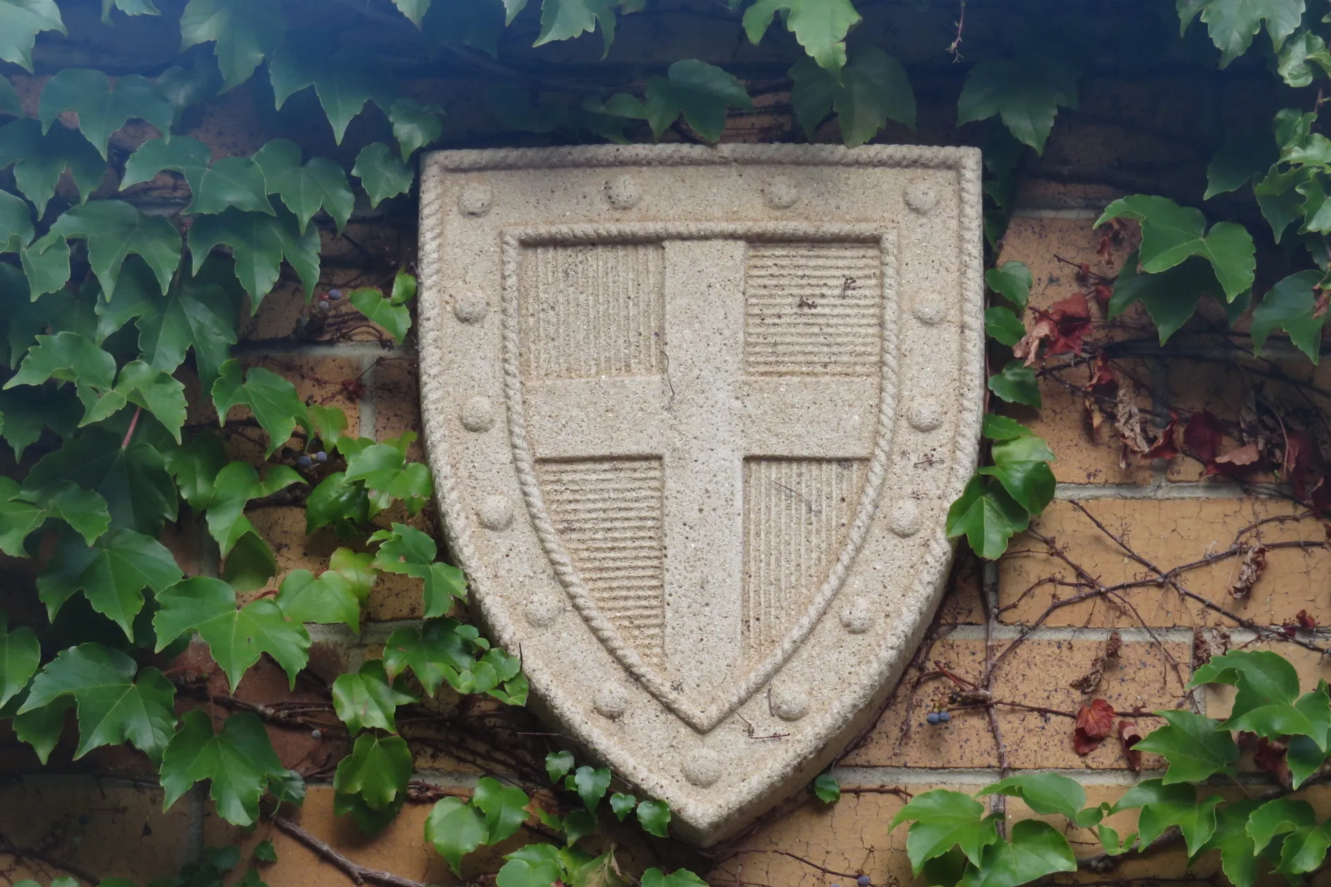 Placeholder campus colour